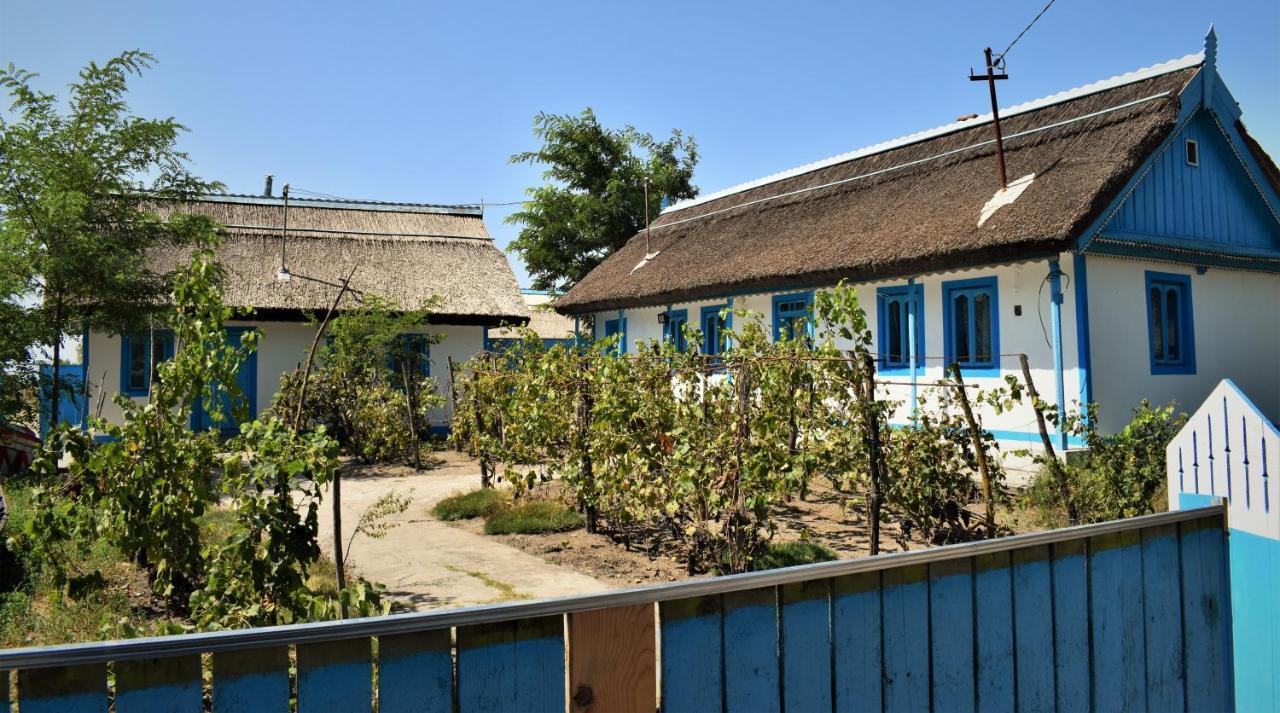 Casa Calin Hotel Crisan  Exterior photo